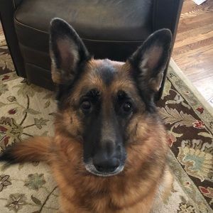 Meet your Posher, Jenny